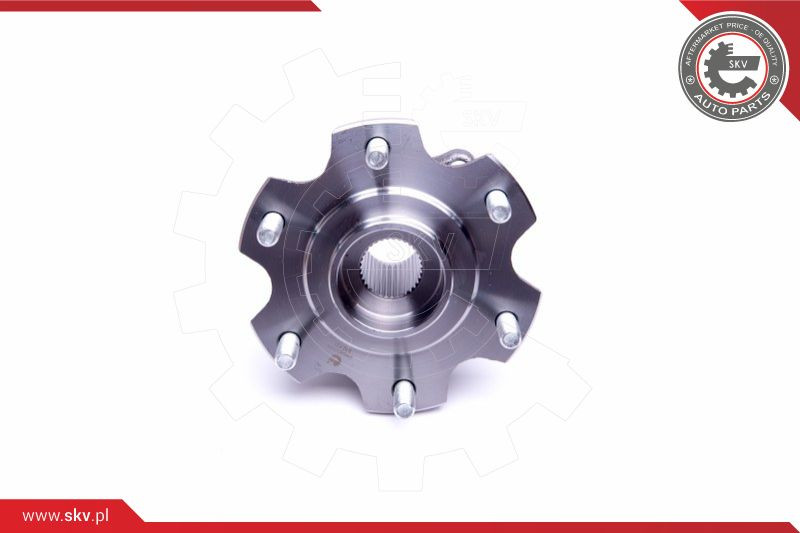 ESEN SKV Radlagersatz