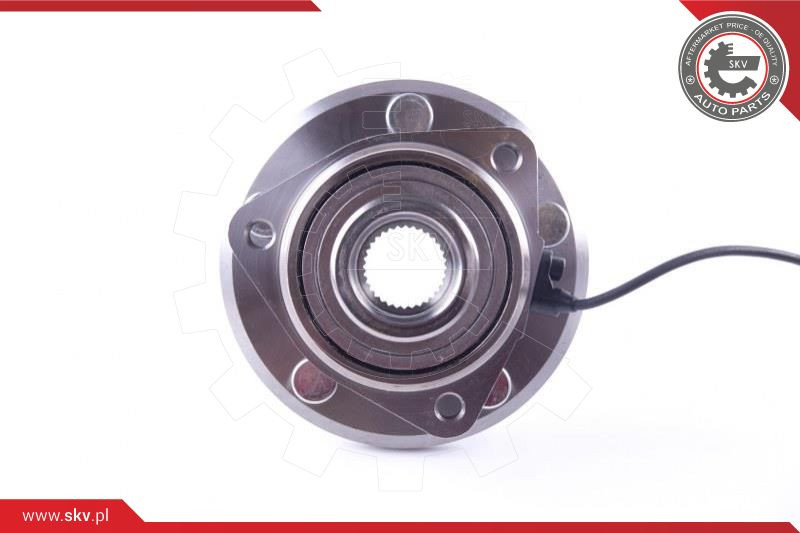 ESEN SKV Radlagersatz