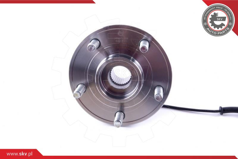 ESEN SKV Radlagersatz