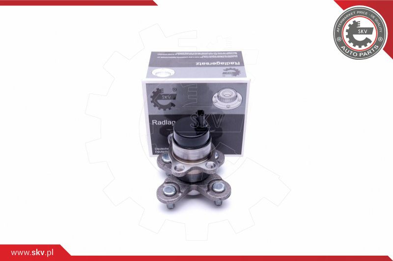 ESEN SKV Radlagersatz