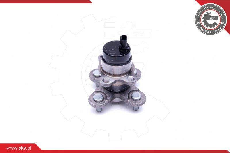 ESEN SKV Radlagersatz