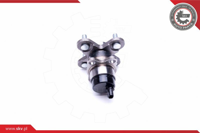 ESEN SKV Radlagersatz