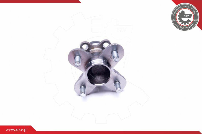ESEN SKV Radlagersatz
