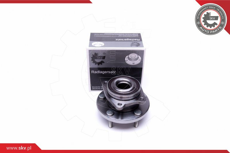 ESEN SKV Radlagersatz
