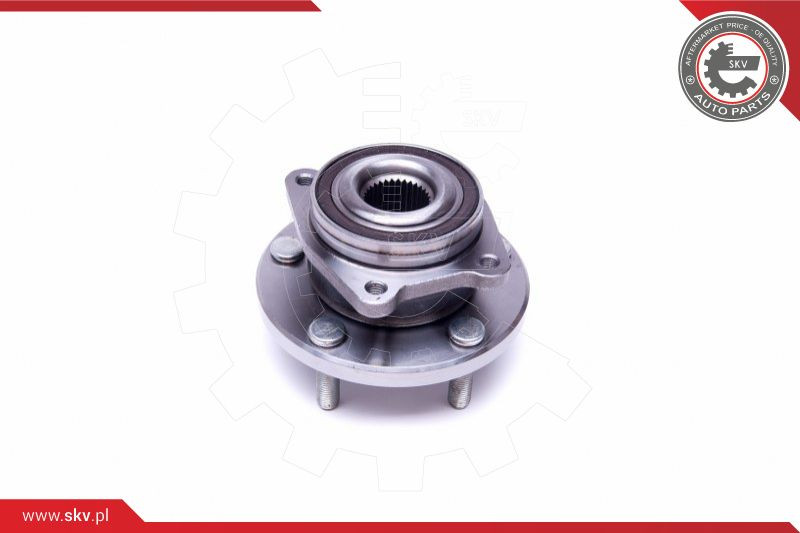 ESEN SKV Radlagersatz
