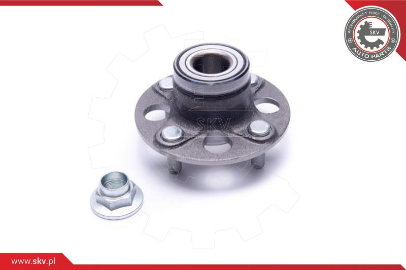 ESEN SKV Radlagersatz