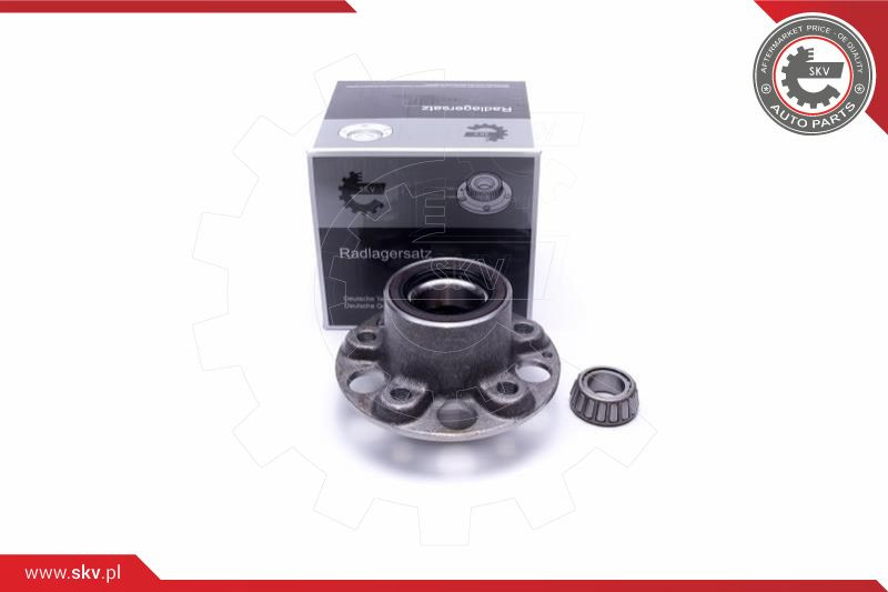 ESEN SKV Radlagersatz