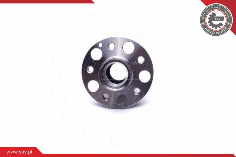 ESEN SKV Radlagersatz