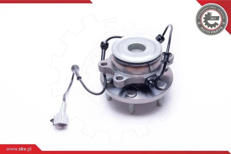 ESEN SKV Radlagersatz