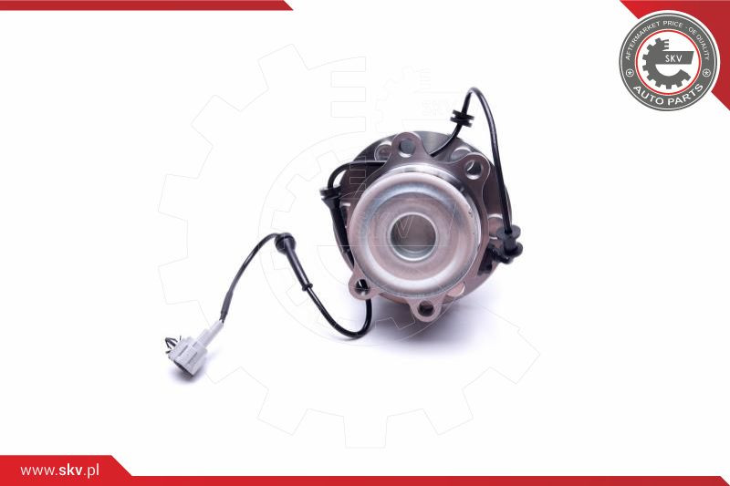 ESEN SKV Radlagersatz