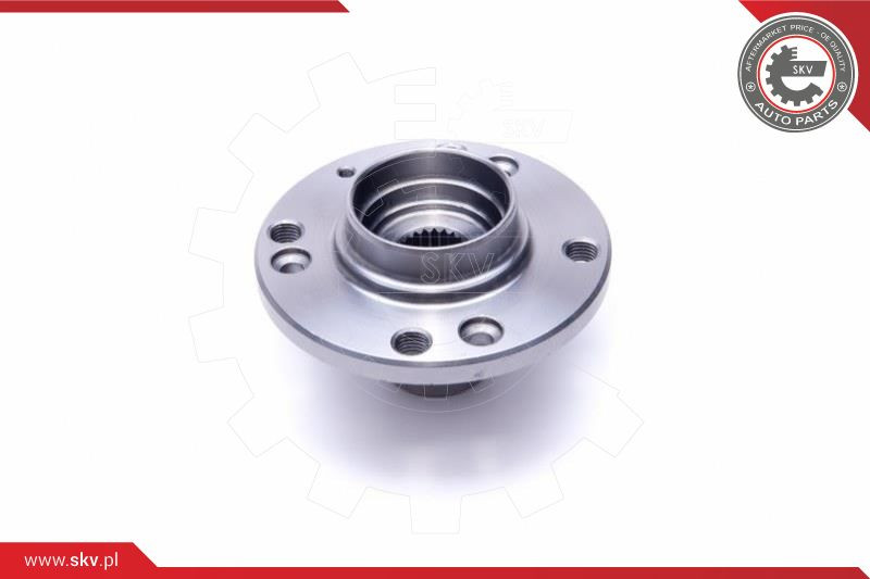ESEN SKV Radlagersatz