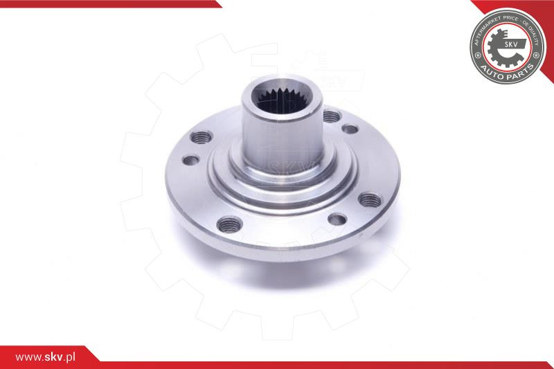ESEN SKV Radlagersatz