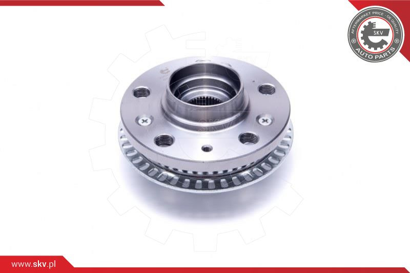 ESEN SKV Radlagersatz