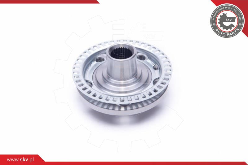 ESEN SKV Radlagersatz