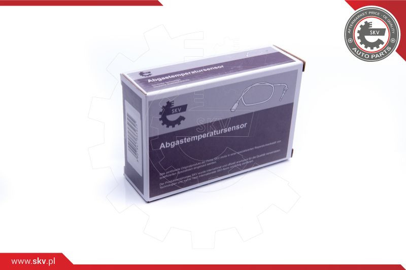 ESEN SKV Sensor, Abgastemperatur