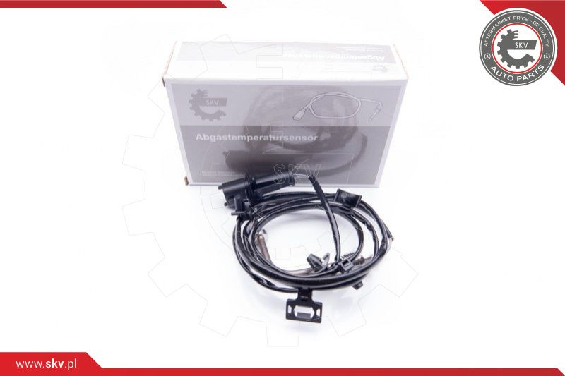 ESEN SKV Sensor, Abgastemperatur