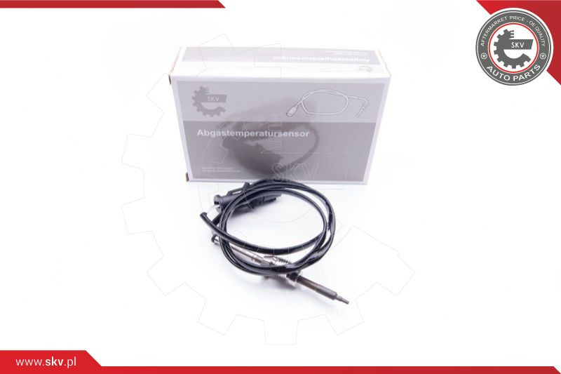 ESEN SKV Sensor, Abgastemperatur