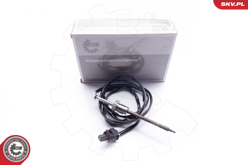 ESEN SKV Sensor, Abgastemperatur
