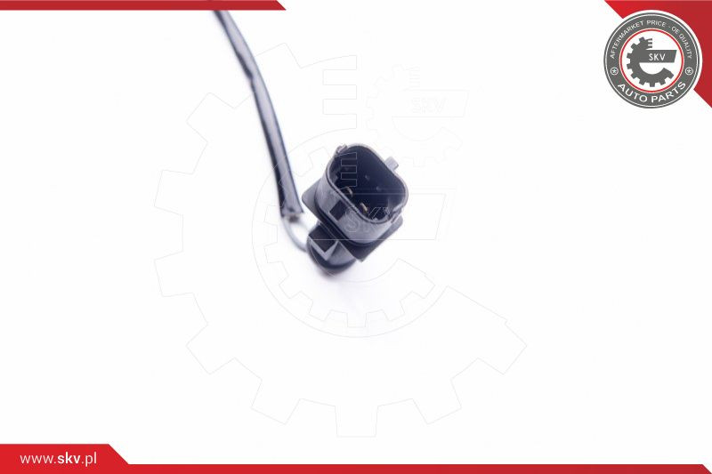 ESEN SKV Sensor, Abgastemperatur