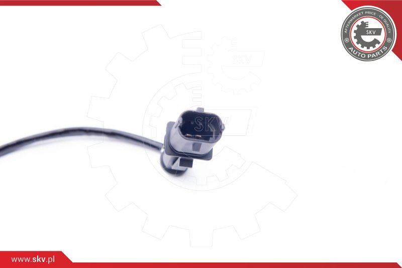 ESEN SKV Sensor, Abgastemperatur