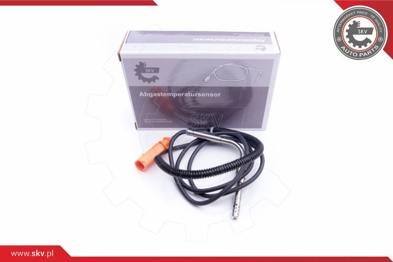 ESEN SKV Sensor, Abgastemperatur