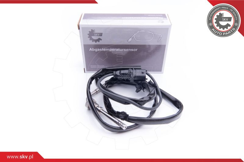 ESEN SKV Sensor, Abgastemperatur