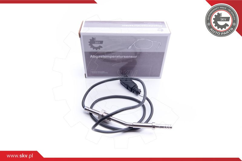ESEN SKV Sensor, Abgastemperatur