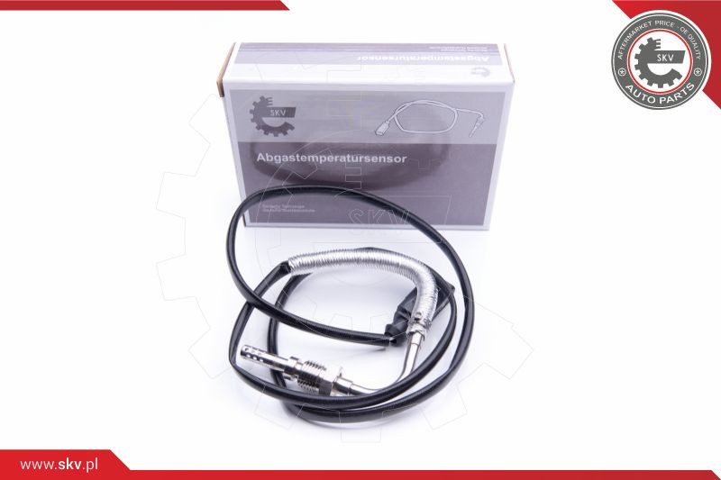 ESEN SKV Sensor, Abgastemperatur