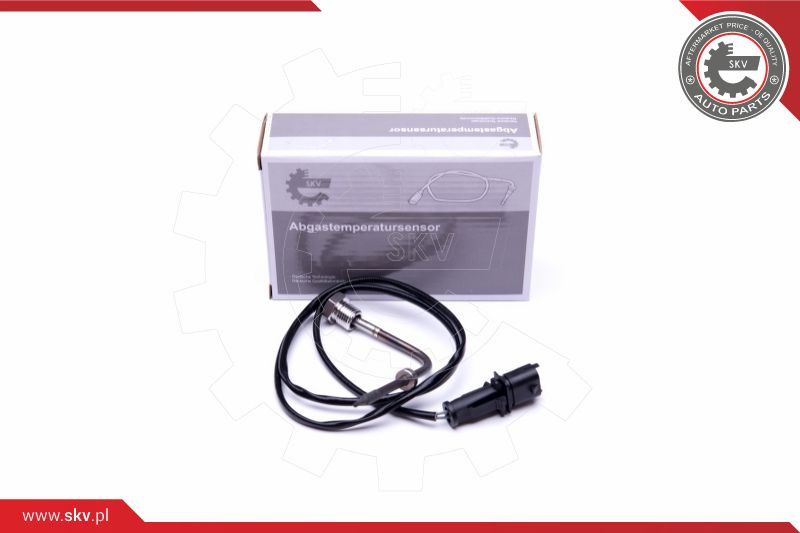 ESEN SKV Sensor, Abgastemperatur