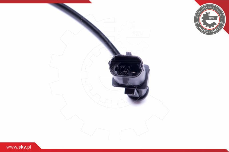 ESEN SKV Sensor, Abgastemperatur