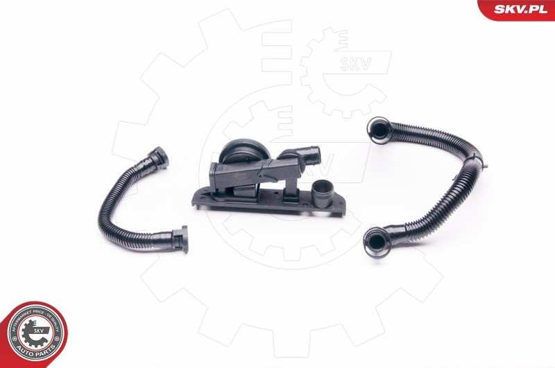 ESEN SKV Reparatursatz, Kurbelgehäuseentlüftung