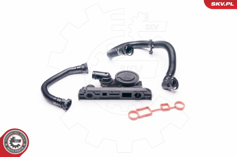 ESEN SKV Reparatursatz, Kurbelgehäuseentlüftung