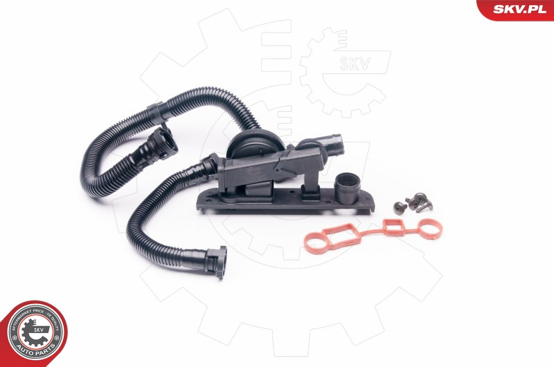 ESEN SKV Reparatursatz, Kurbelgehäuseentlüftung