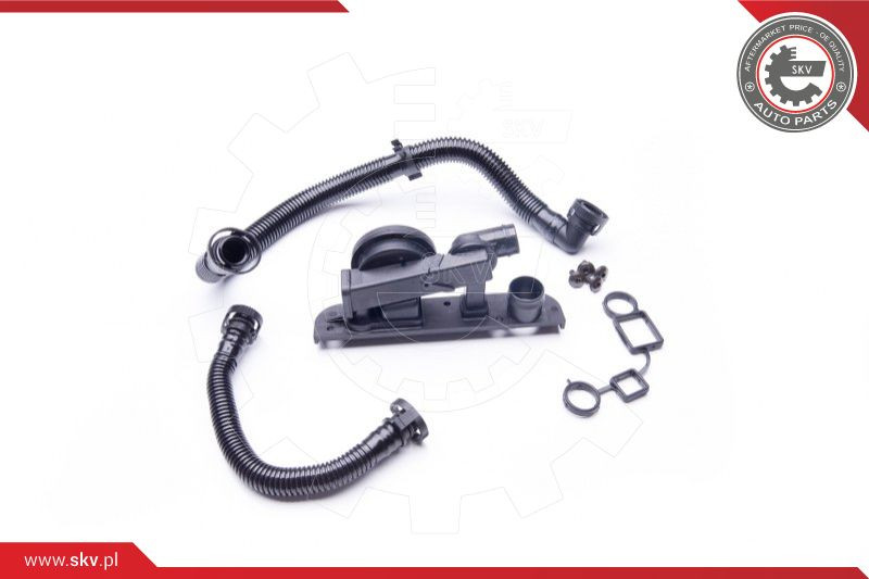 ESEN SKV Reparatursatz, Kurbelgehäuseentlüftung