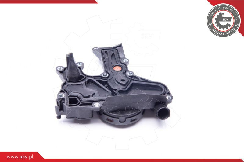 ESEN SKV Reparatursatz, Kurbelgehäuseentlüftung