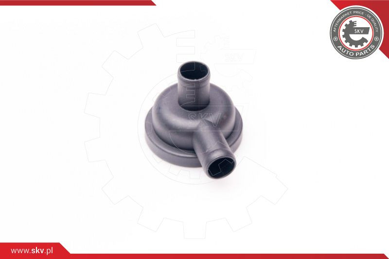 ESEN SKV Ventil, Kurbelgehäuseentlüftung