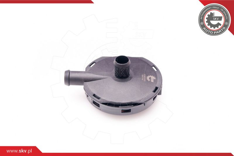 ESEN SKV Ventil, Kurbelgehäuseentlüftung