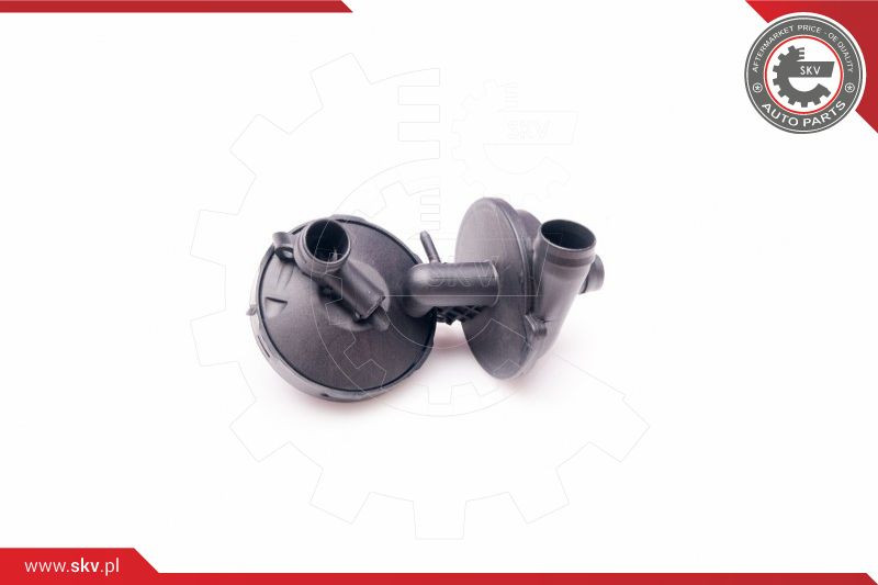 ESEN SKV Ventil, Kurbelgehäuseentlüftung