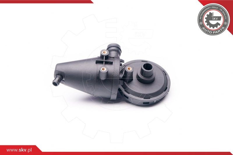 ESEN SKV Reparatursatz, Kurbelgehäuseentlüftung