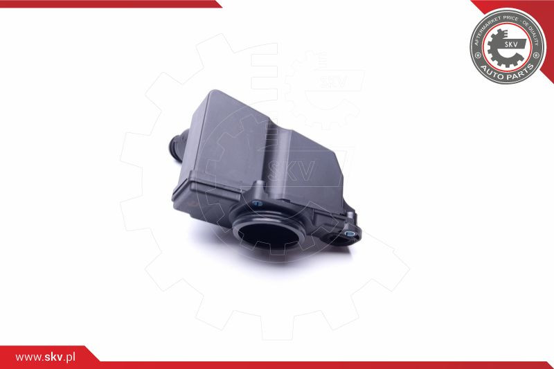 ESEN SKV Reparatursatz, Kurbelgehäuseentlüftung