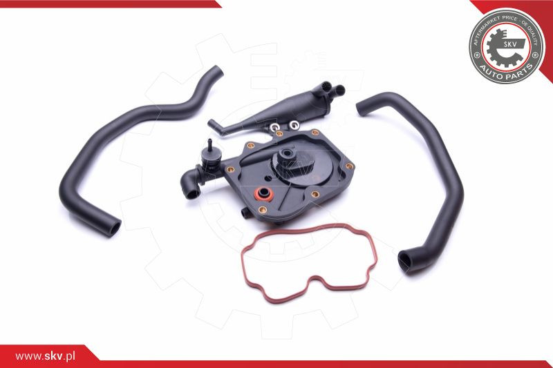 ESEN SKV Reparatursatz, Kurbelgehäuseentlüftung