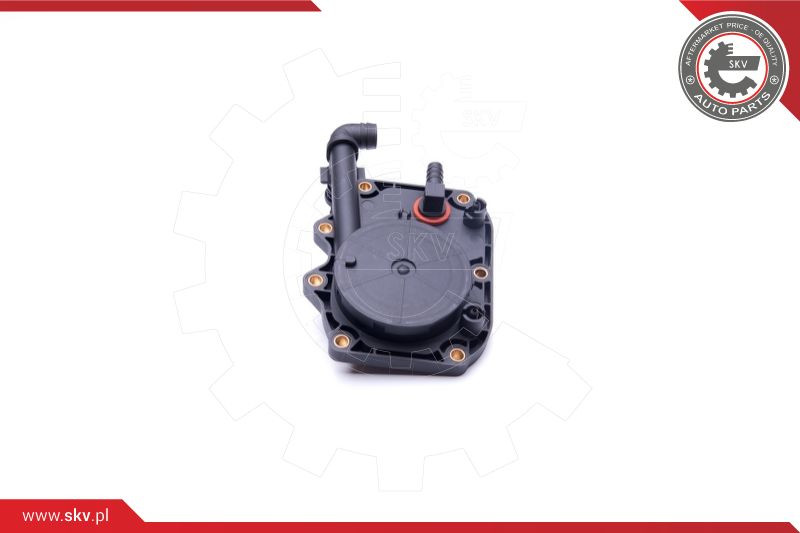 ESEN SKV Reparatursatz, Kurbelgehäuseentlüftung