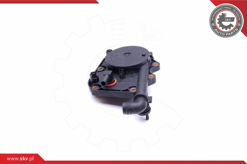 ESEN SKV Reparatursatz, Kurbelgehäuseentlüftung