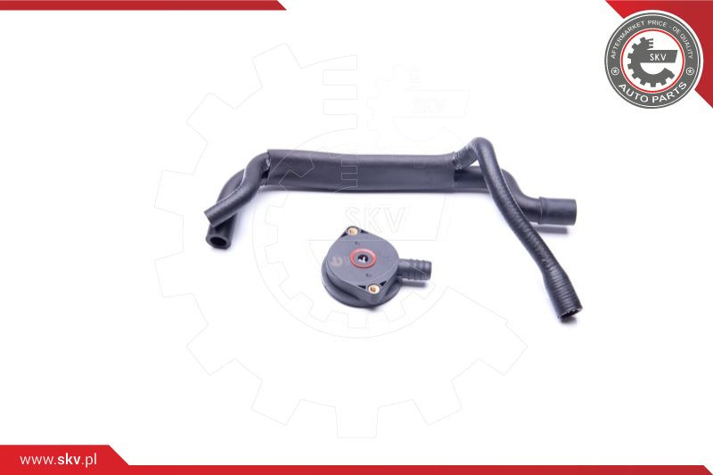 ESEN SKV Reparatursatz, Kurbelgehäuseentlüftung