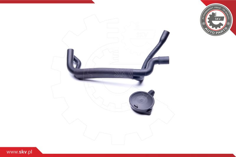 ESEN SKV Reparatursatz, Kurbelgehäuseentlüftung