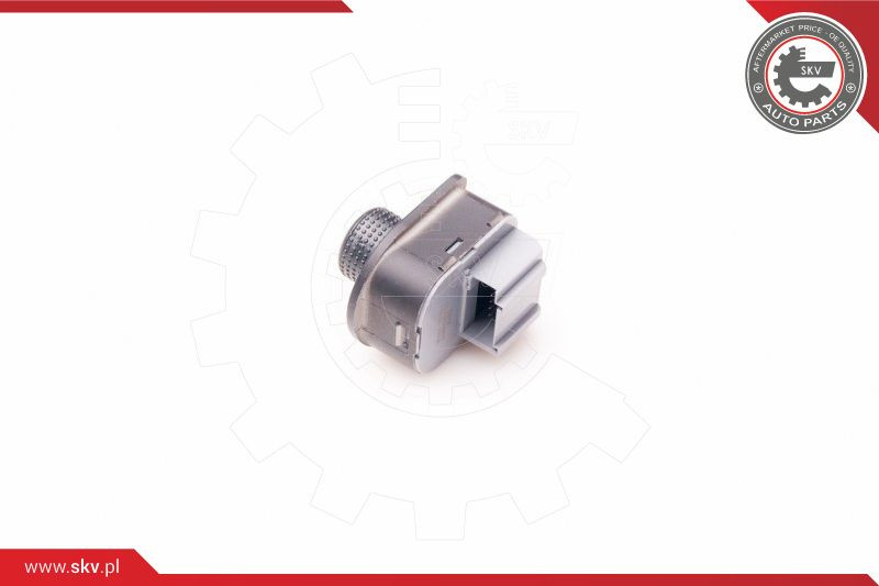 ESEN SKV Schalter, Spiegelverstellung