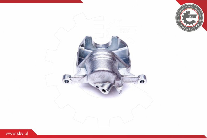 ESEN SKV Bremssattel