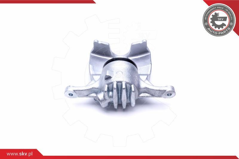 ESEN SKV Bremssattel