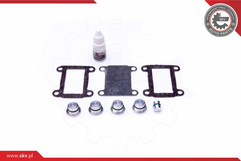 ESEN SKV Reparatursatz, Saugrohrmodul