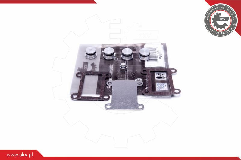 ESEN SKV Reparatursatz, Saugrohrmodul